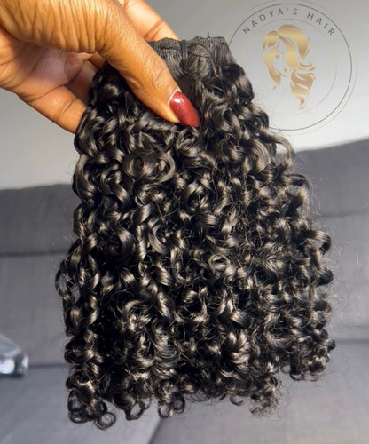 Caracóis Brasileiros - Premuim