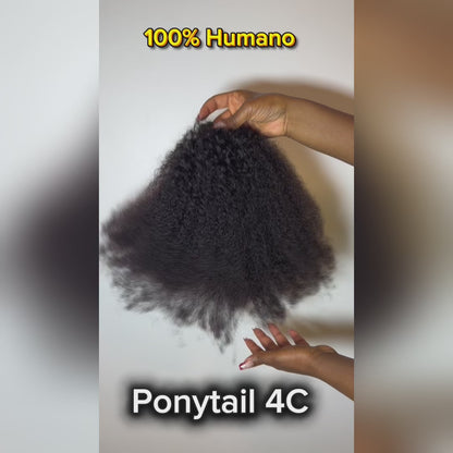 Ponytail 4C - Afro Curl