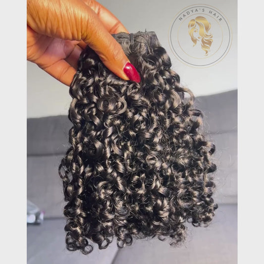 Caracóis Brasileiros - Premuim